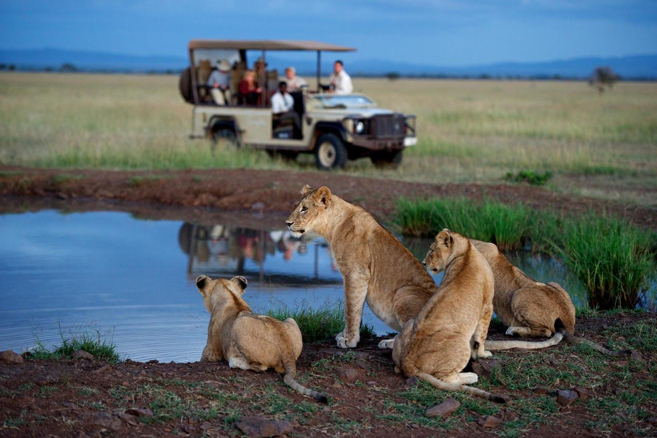 Top Tour Operator for Tanzania Safari Packages